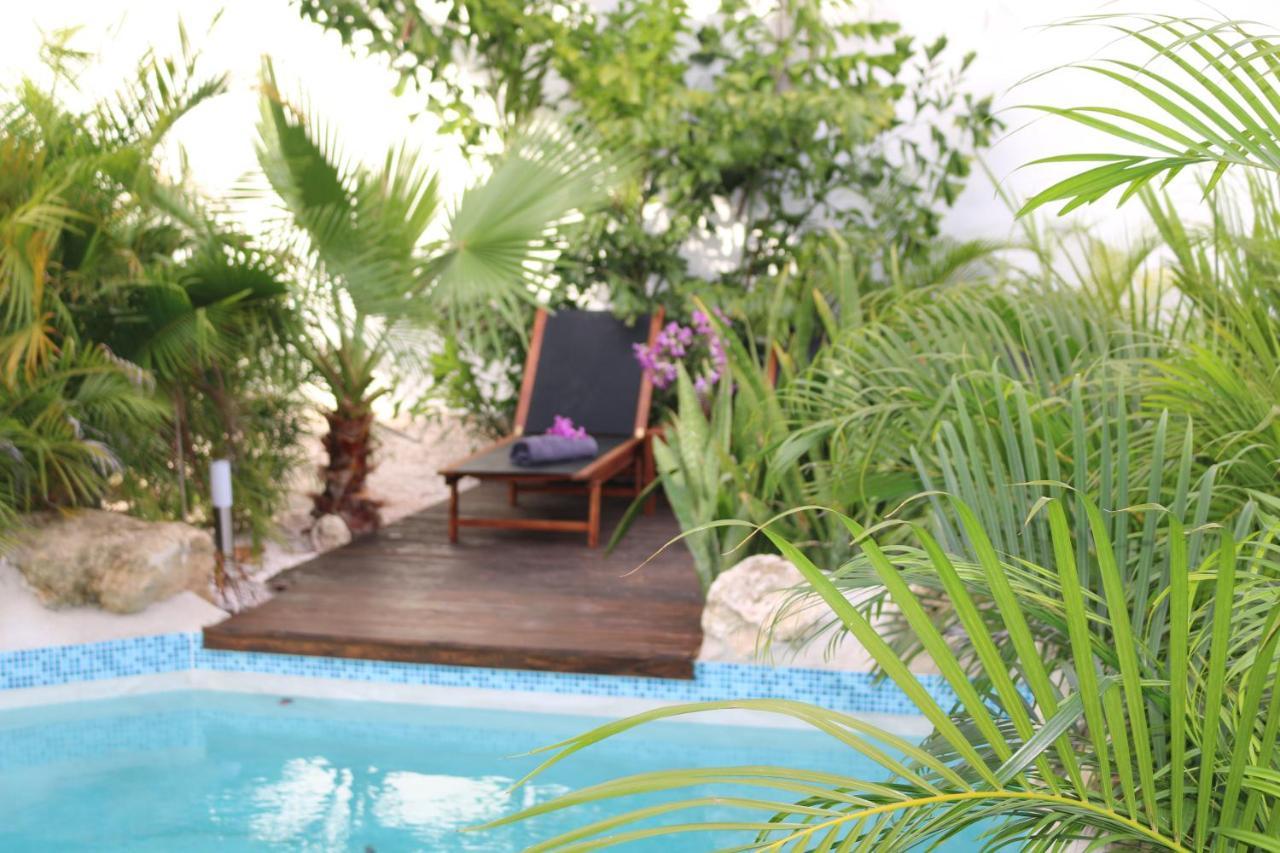 New House Tropic Paradise With Pool Віллемстад Екстер'єр фото