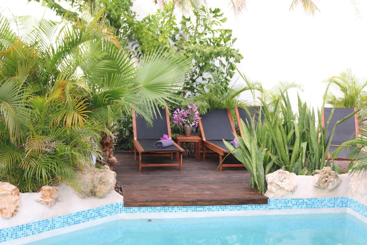 New House Tropic Paradise With Pool Віллемстад Екстер'єр фото
